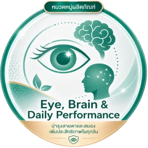 Eye Screen Support